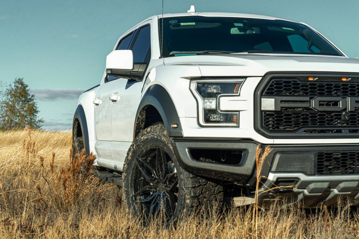 Ford f150 Raptor 2008