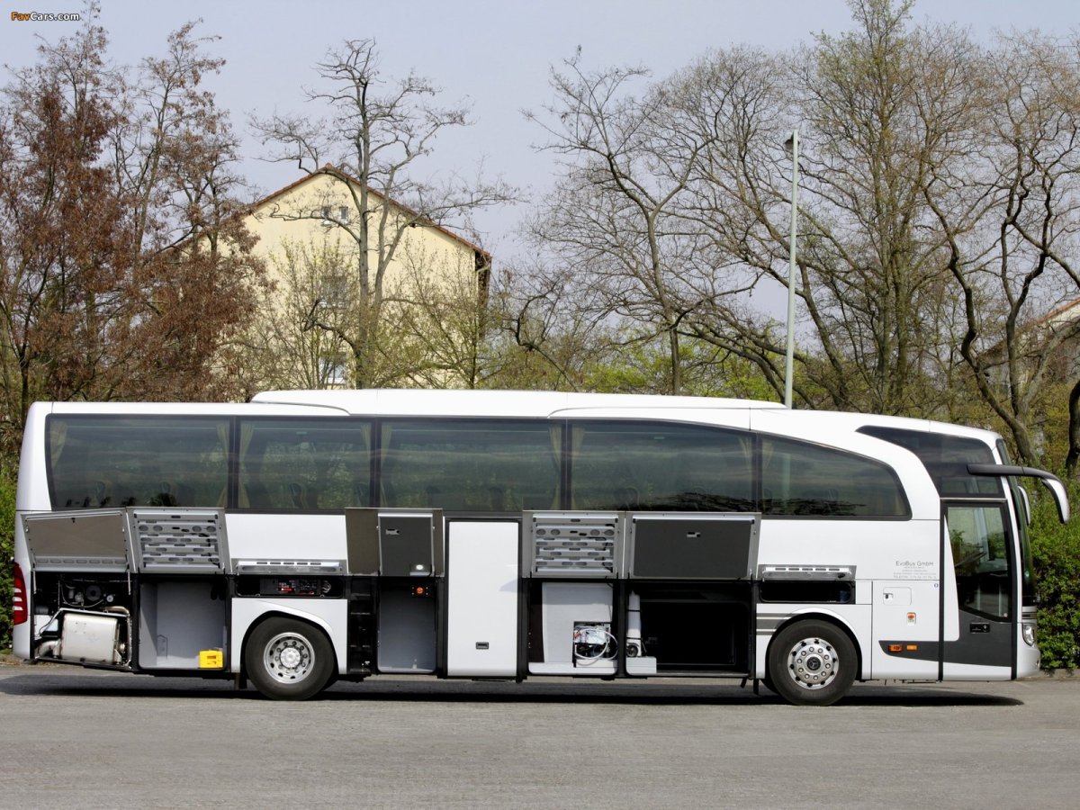 Автобусы Mercedes-Benz Travego