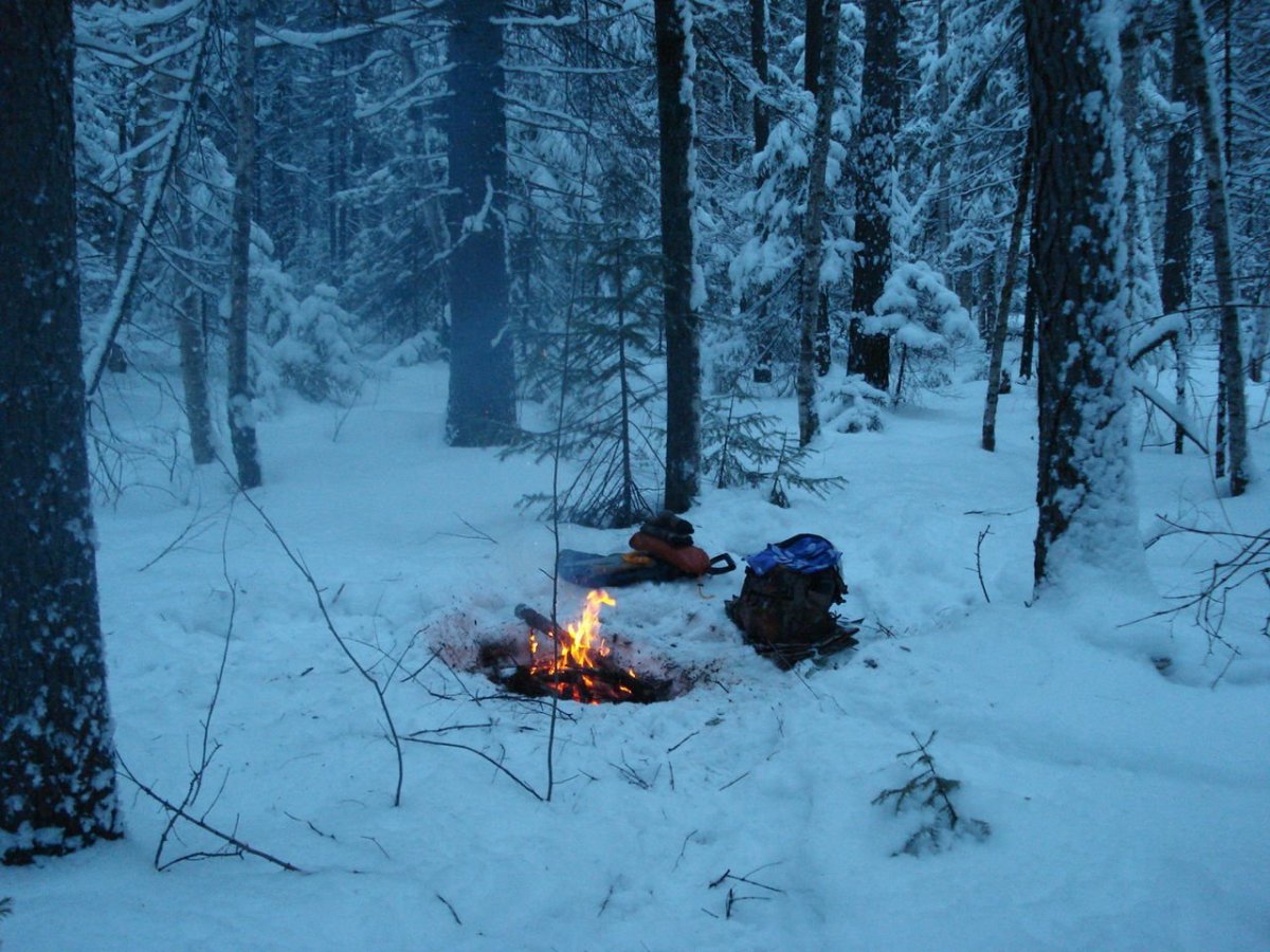 Костер в зимнем лесу