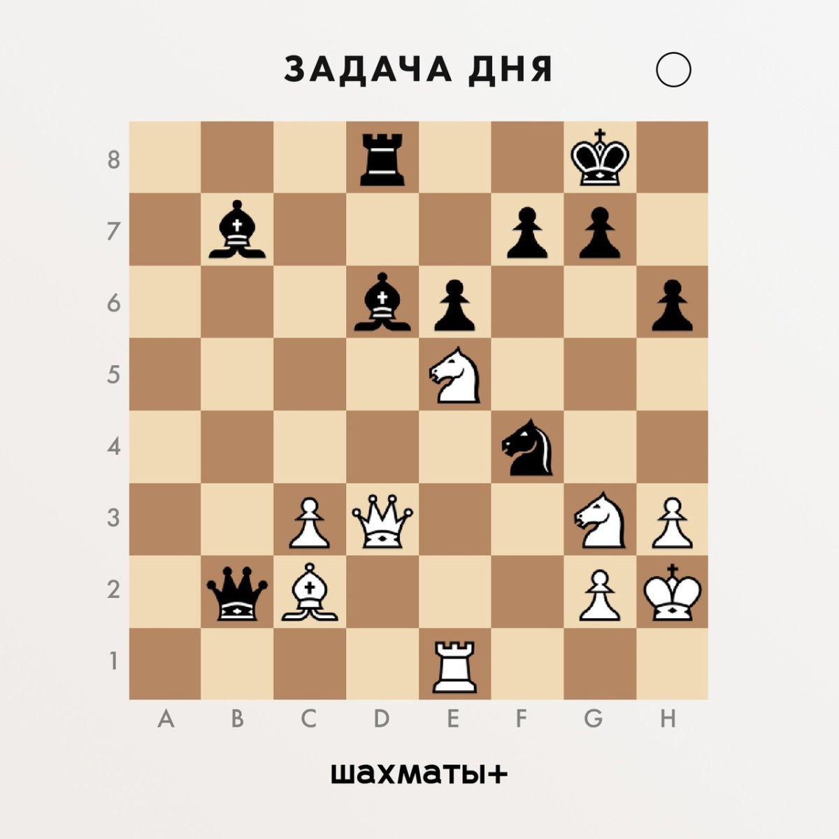 Шахматный клуб два слона