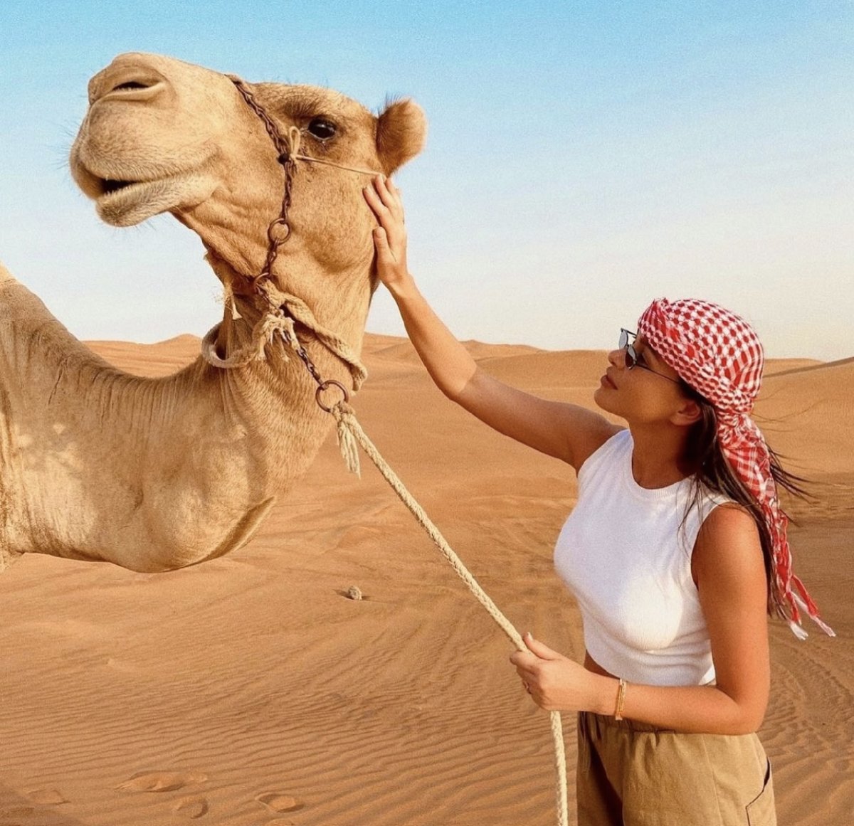 Катание на верблюдах в Дубае