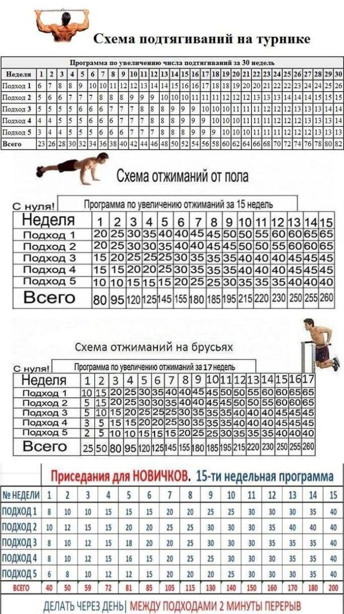 Подтягивания схема тренировок