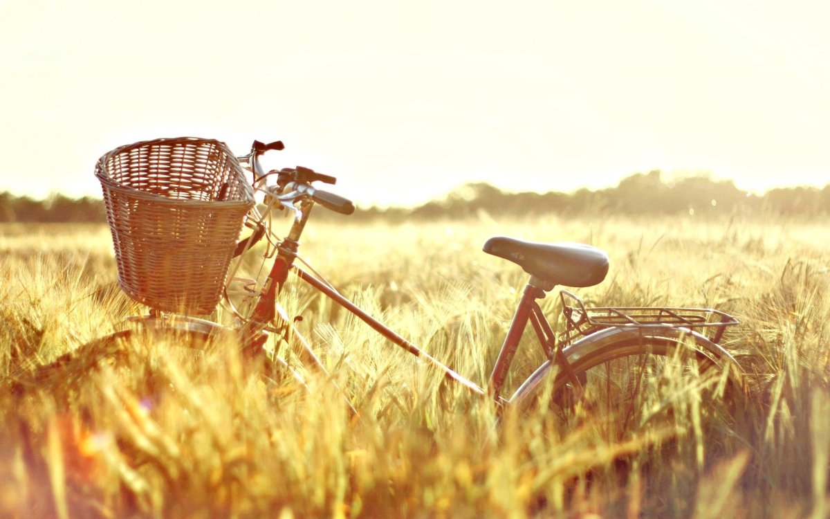 Велосипед с корзинкой в поле