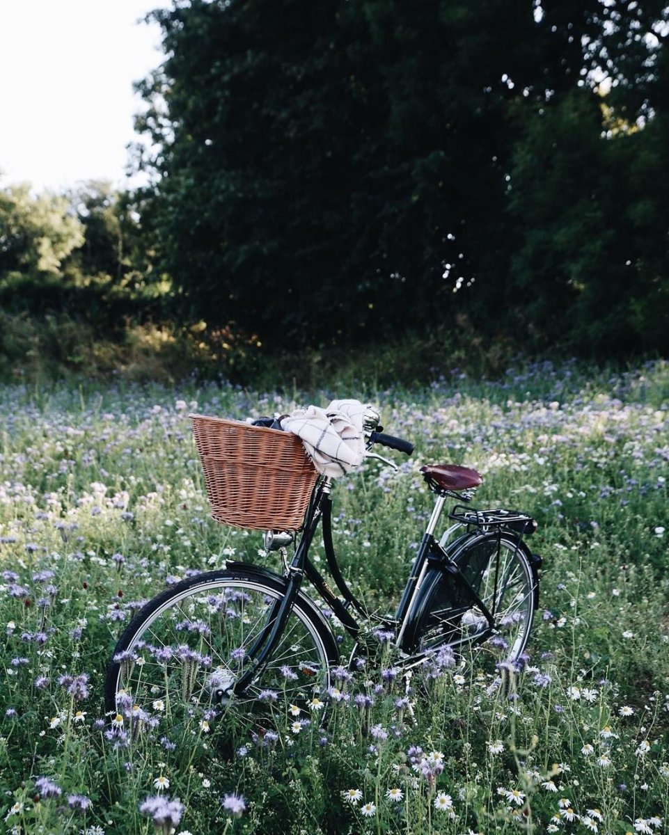 Велосипед с корзинкой в поле