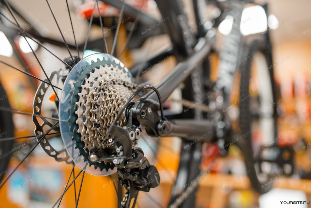 Bike Rear