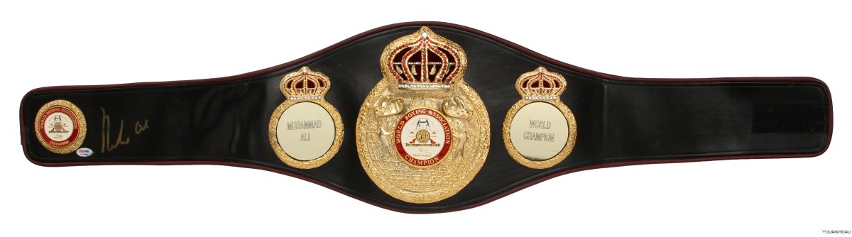 Пояс чемпиона мира по боксу WBC