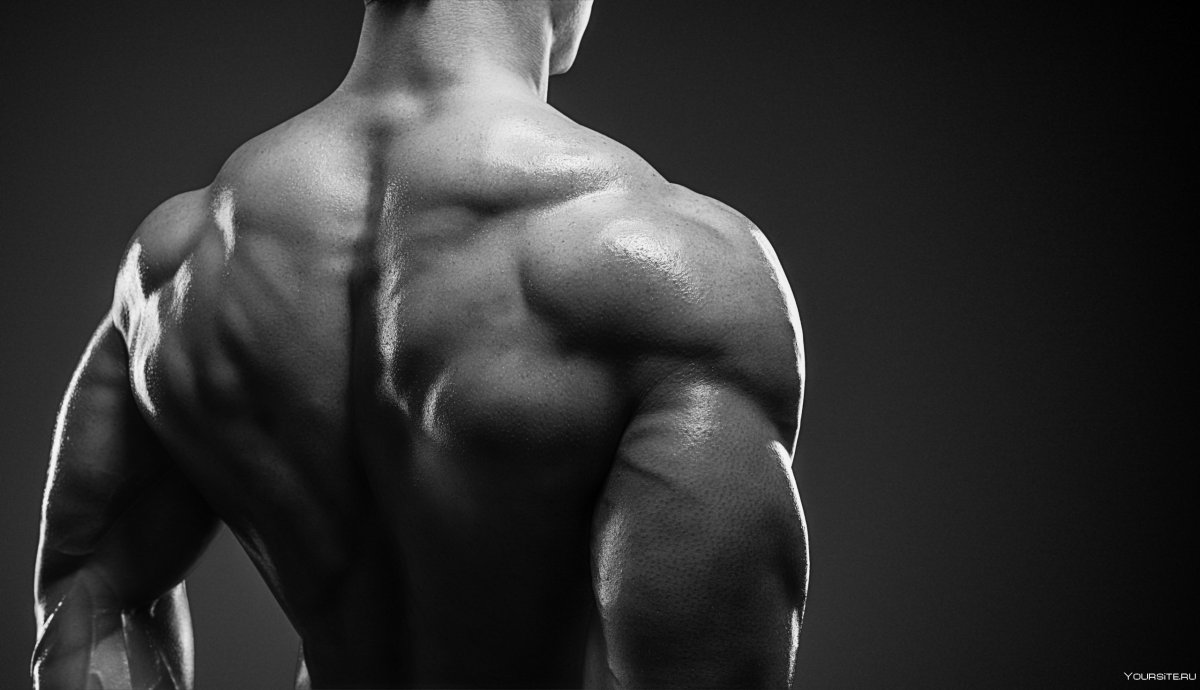 Накаченная спина мужская