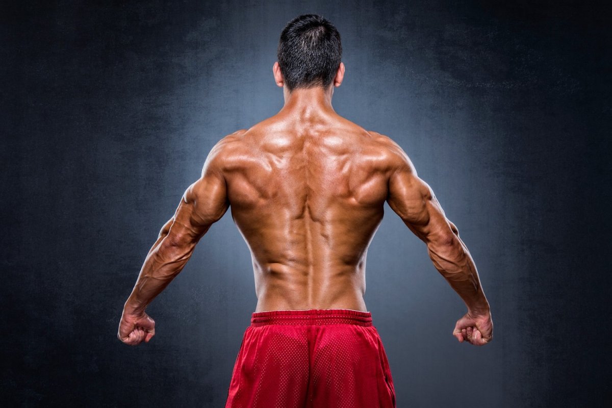 Мужская спина