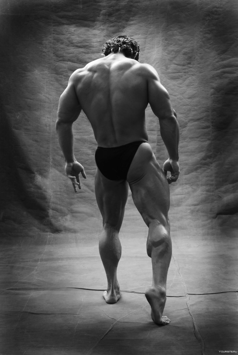 Накаченная спина мужская