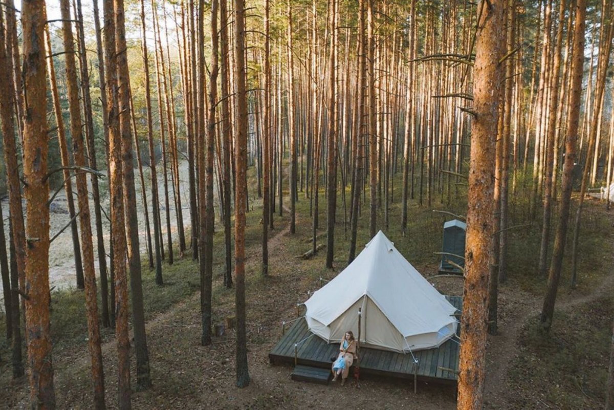 Лес и море палаточный лагерь Калязин
