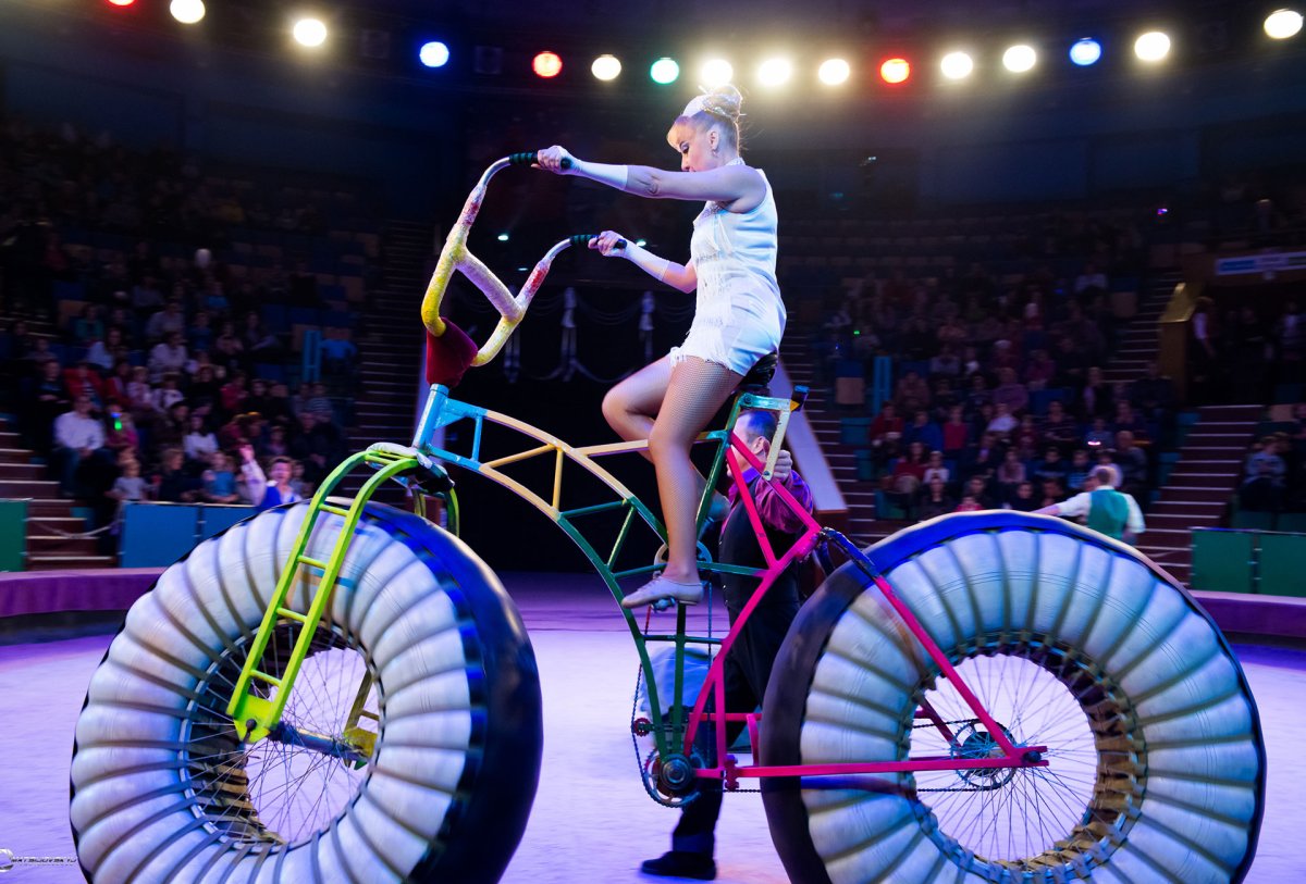 Одноколёсный велосипед цирковой