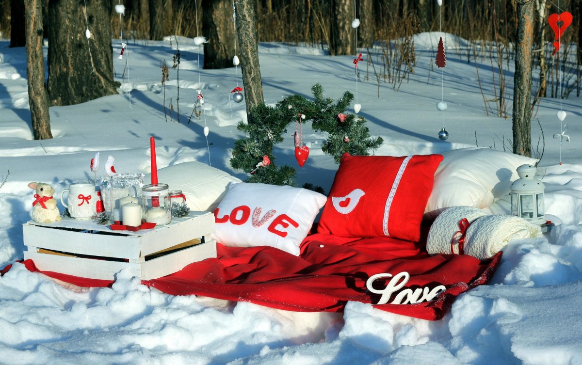 Новогодний пикник на природе