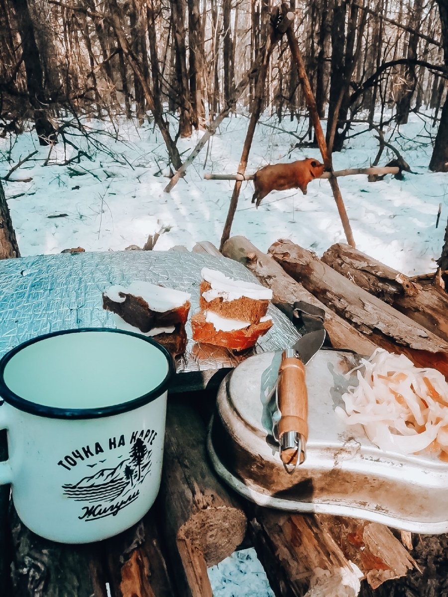 Пикник в зимнем лесу