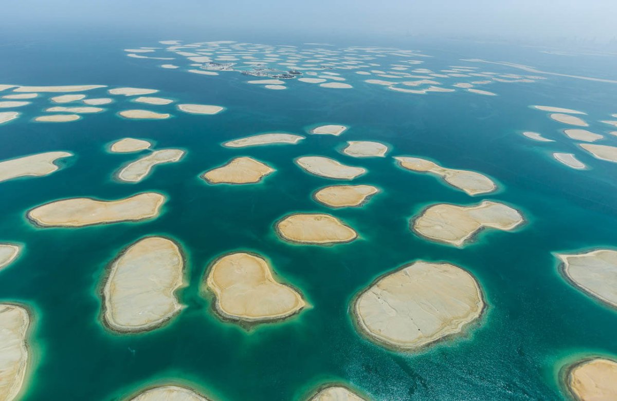 Earth Island Institute the Borneo Project