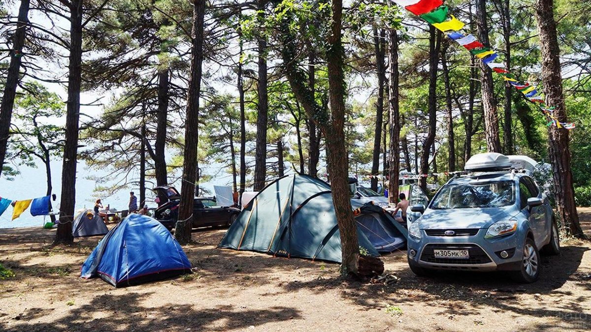 Автокемпинг можжевеловая роща
