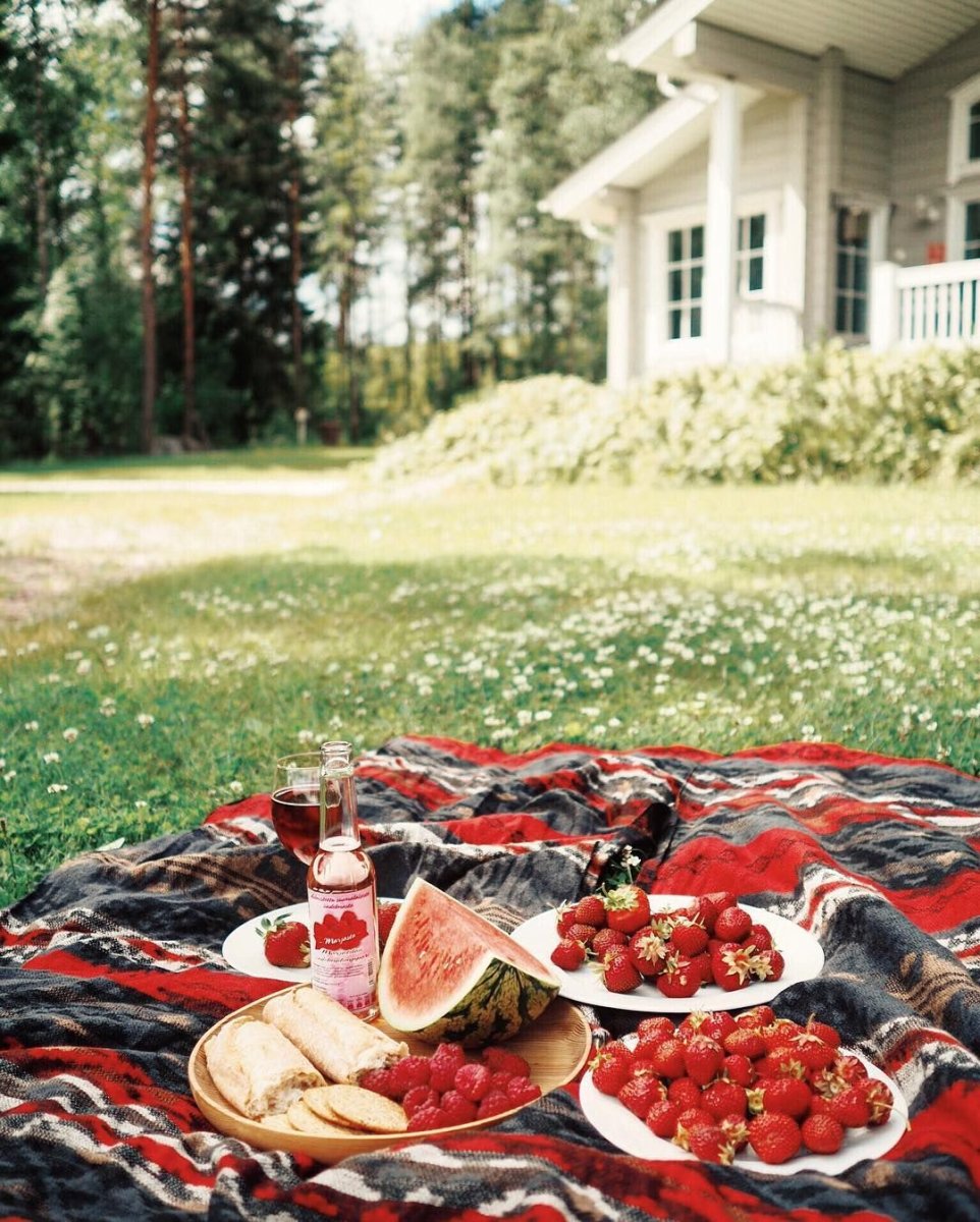 Красивые пикники на природе с фруктами