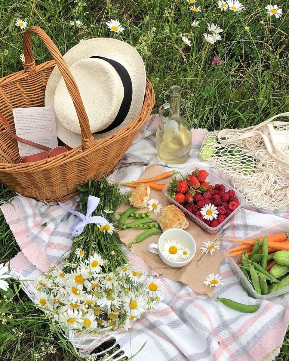 Лето пикник