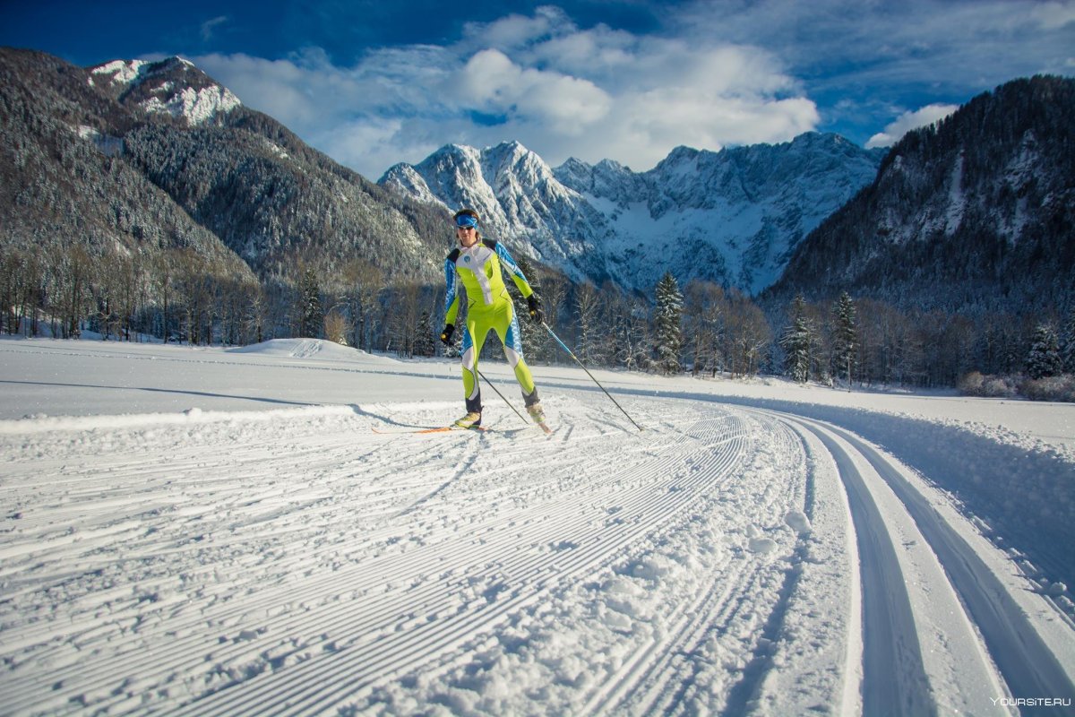 Лыжные гонки природа