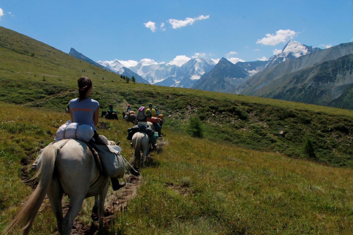 Конные прогулки горный Алтай Чемал
