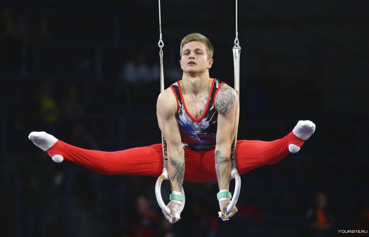 Иван Стретович спортивная гимнастика