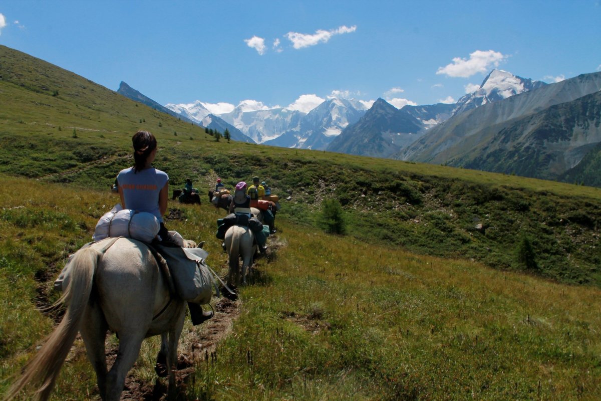 Конные прогулки горный Алтай Чемал