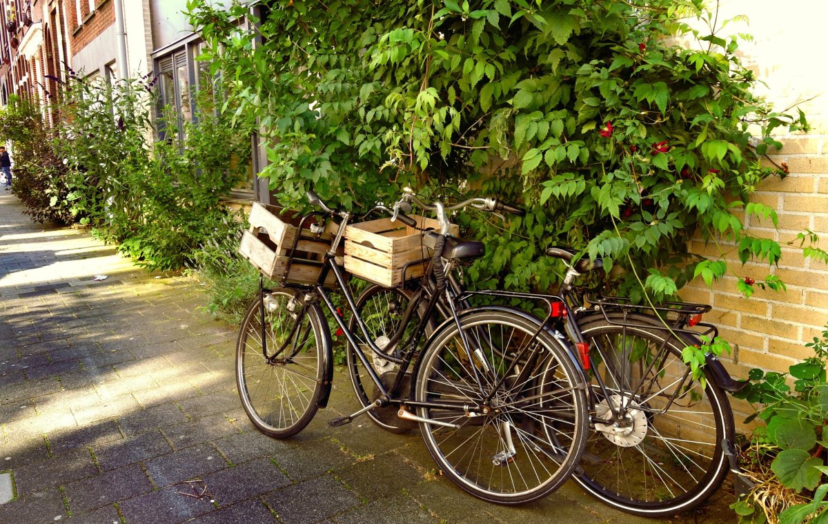 Велосипедные улицы
