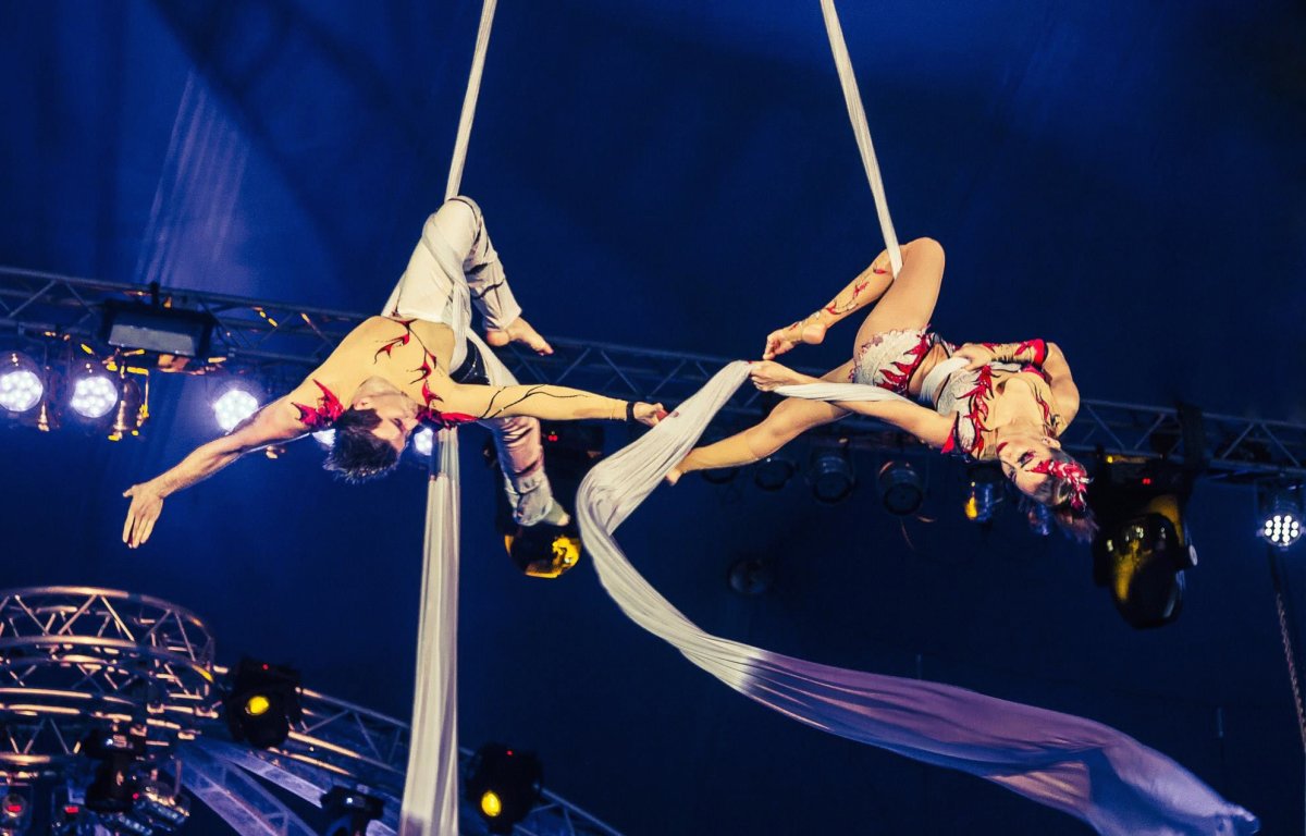 Гимнасты под куполом цирка