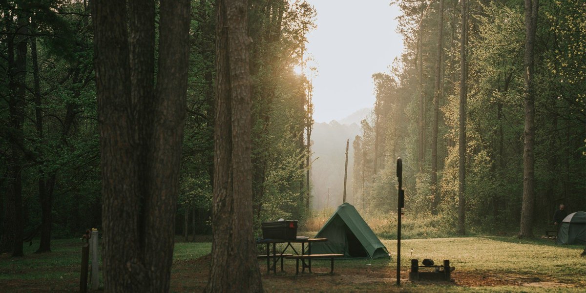Палатка в лесу Эстетика