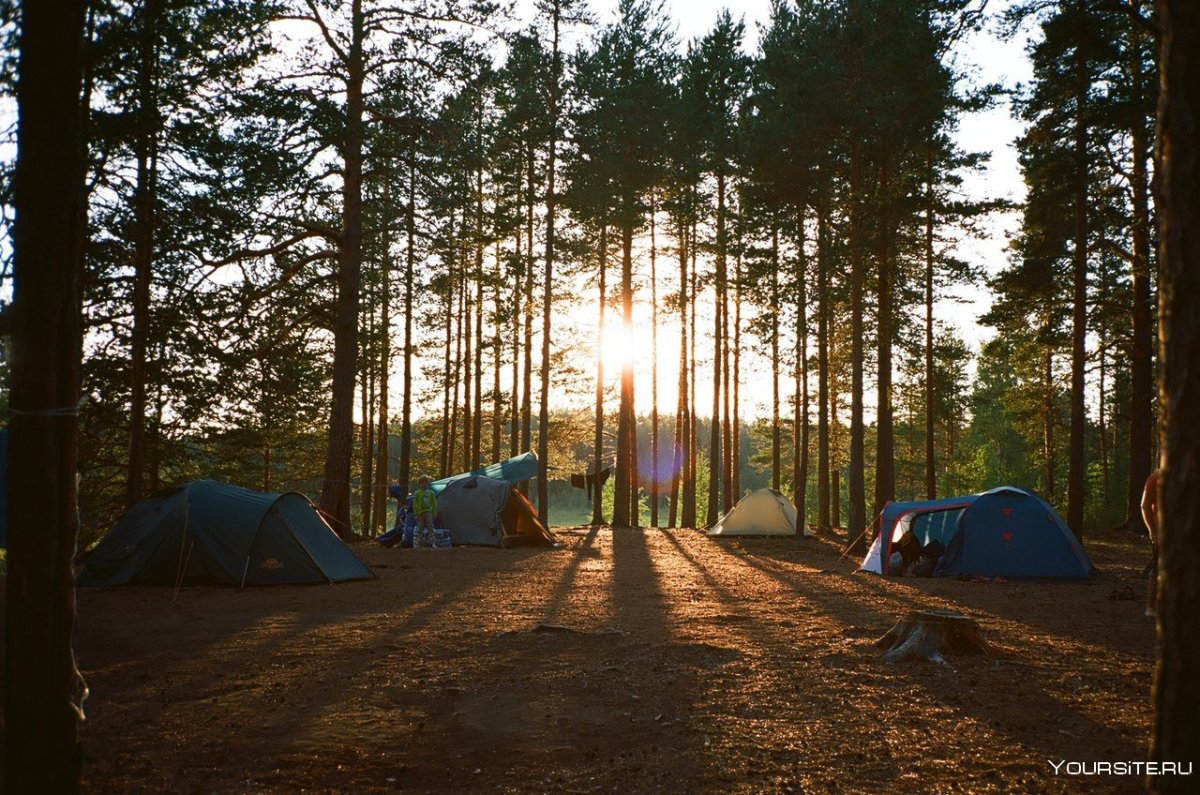 Палаточный лагерь в Карелии