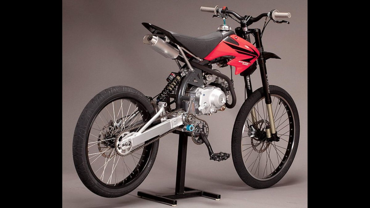 Motoped Santa Cruz