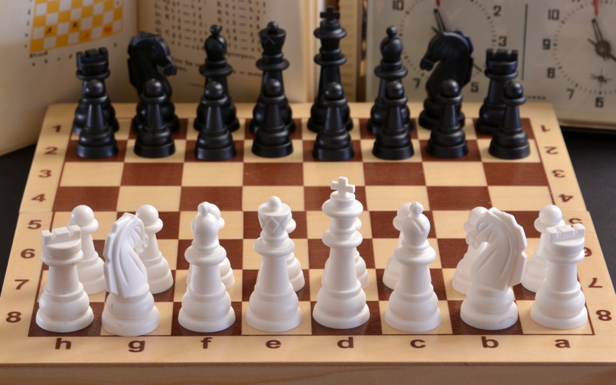 Волкова Надежда Юрьевна шахматы белая Ладья