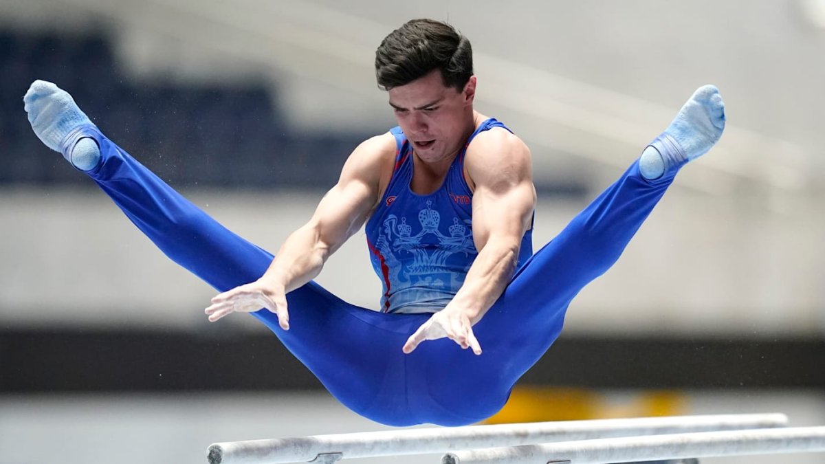 Артур Давтян спортивная гимнастика