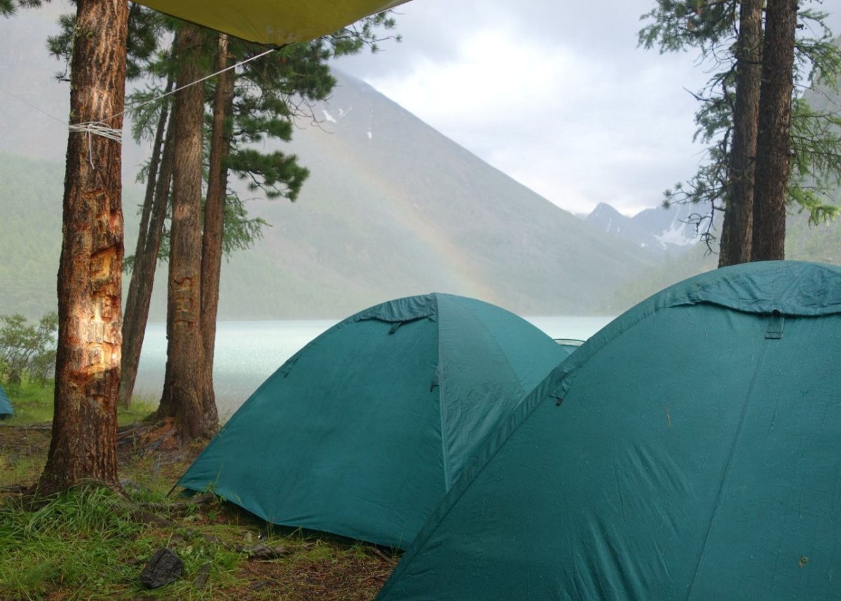 Алтай Катунь в палатках