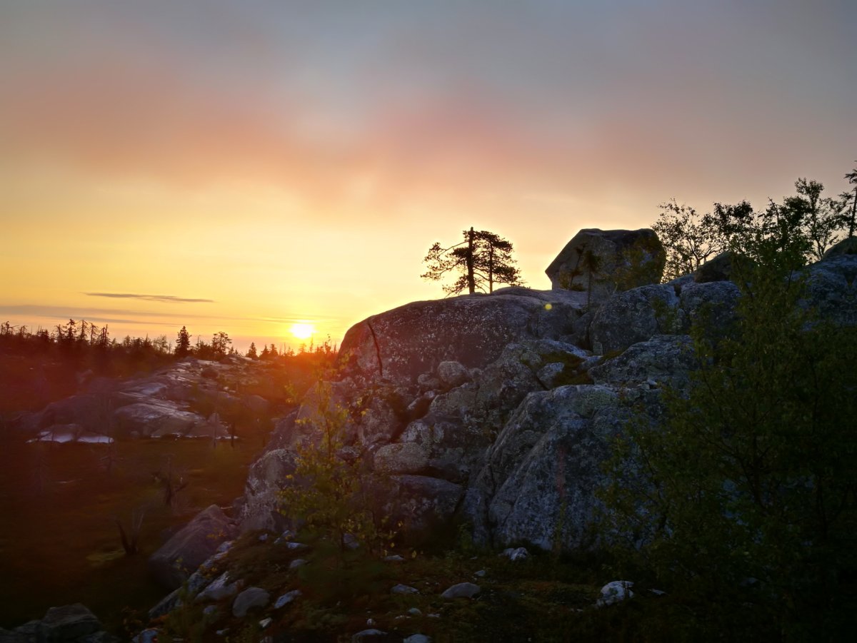 Карелия пикник экскурсия