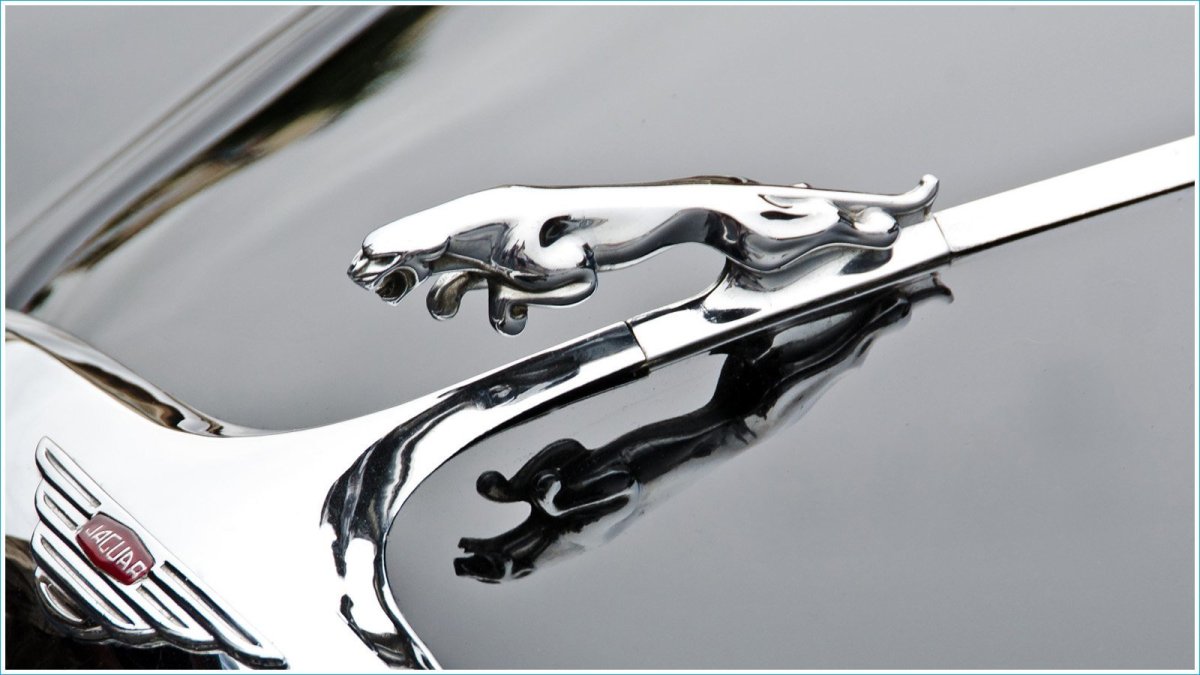Jaguar auto logo