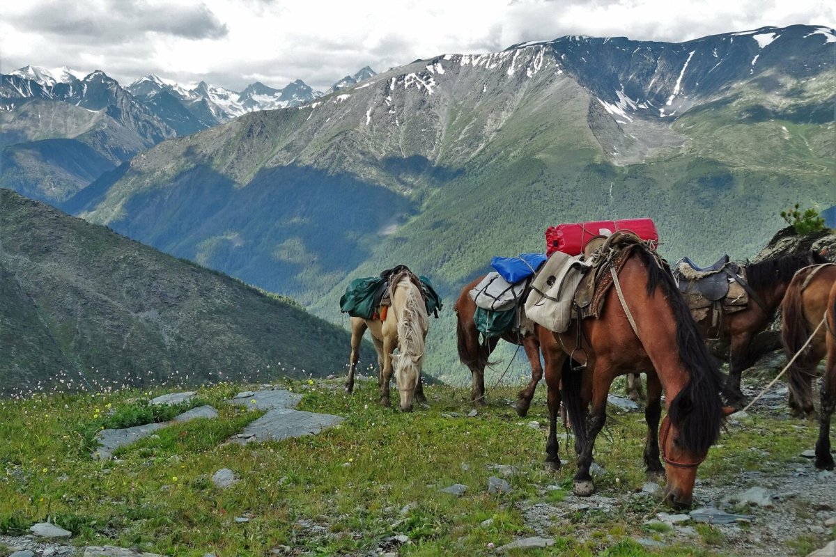 Алтай гора Белуха конный поход