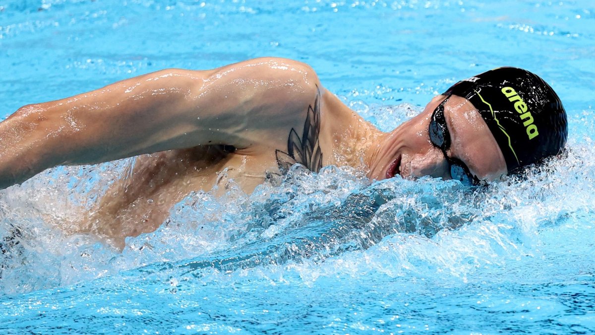 Плавание на открытой воде олимпиада