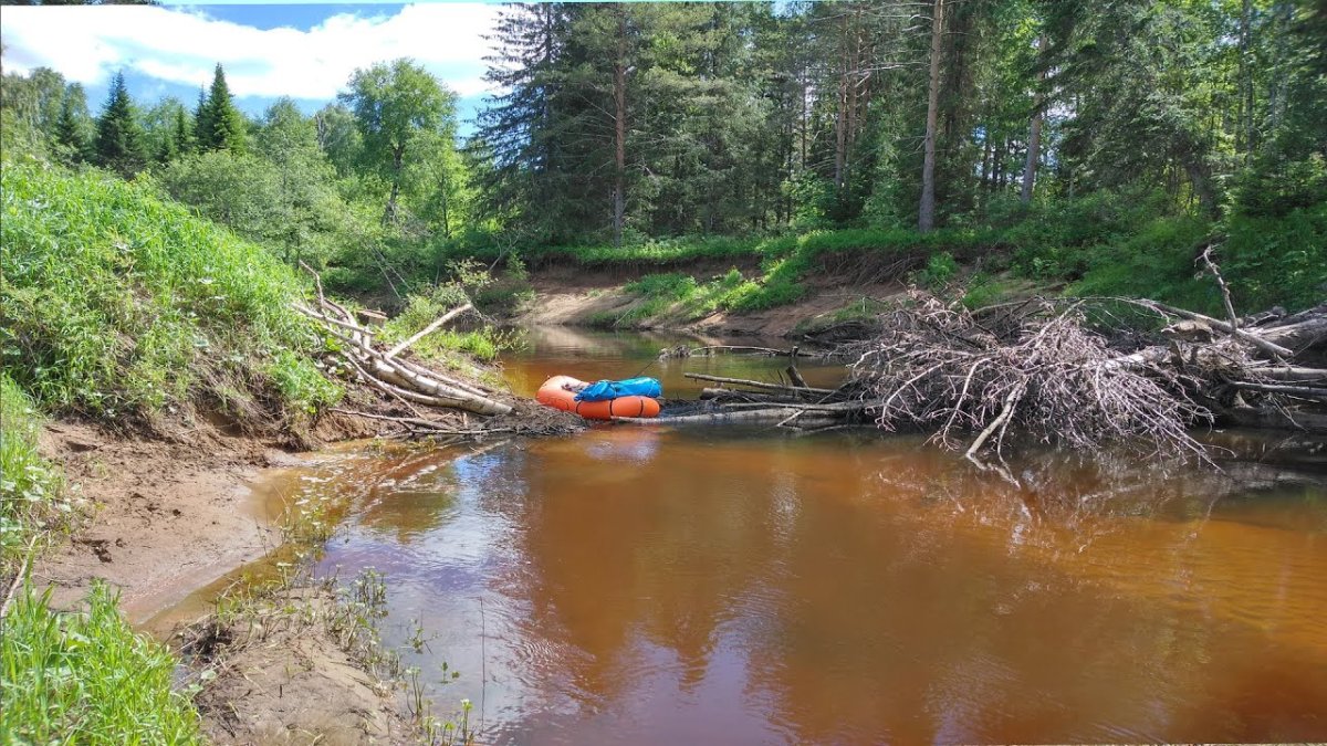 Река белая Холуница Кировская