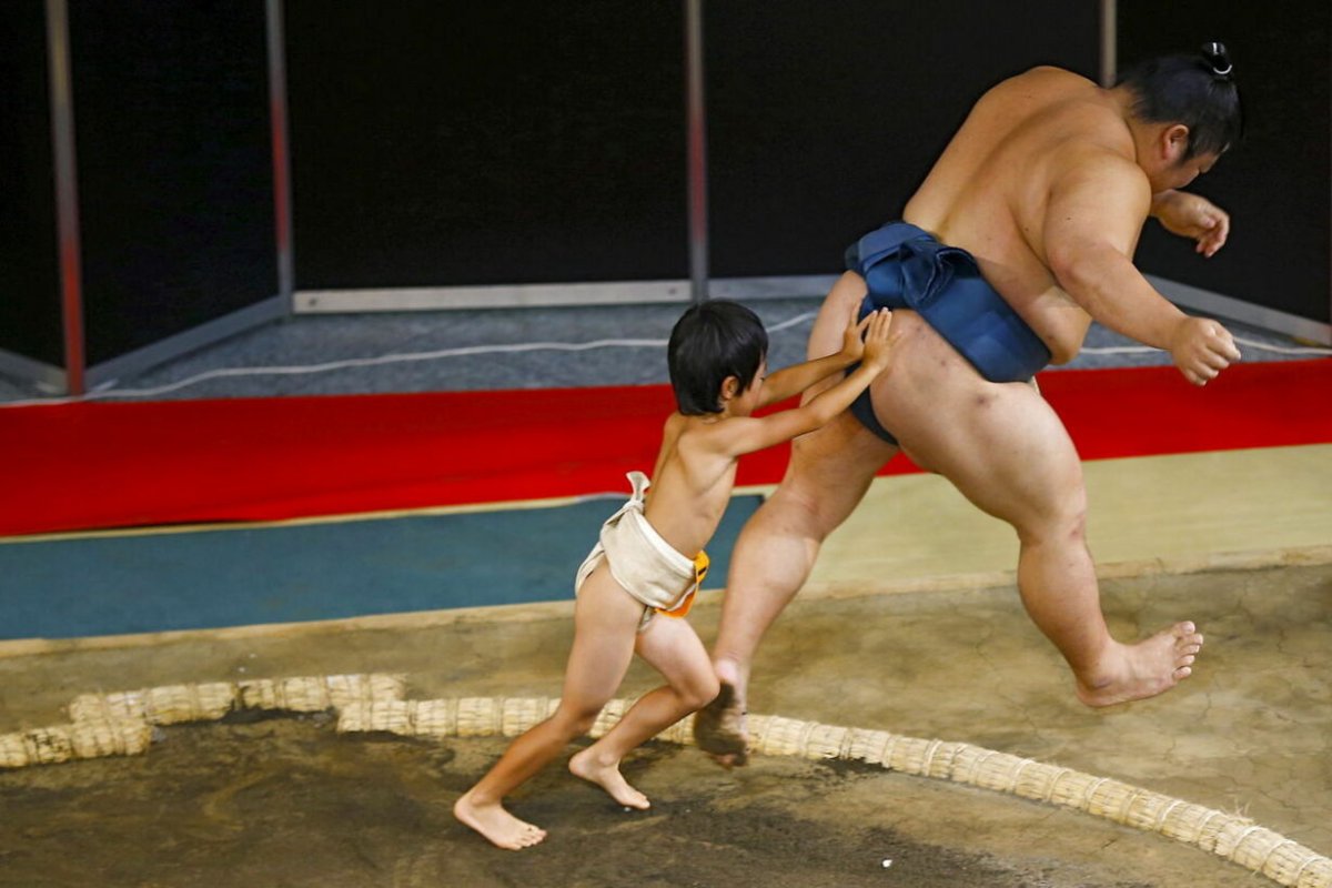 Борьба тяжеловесов сумо