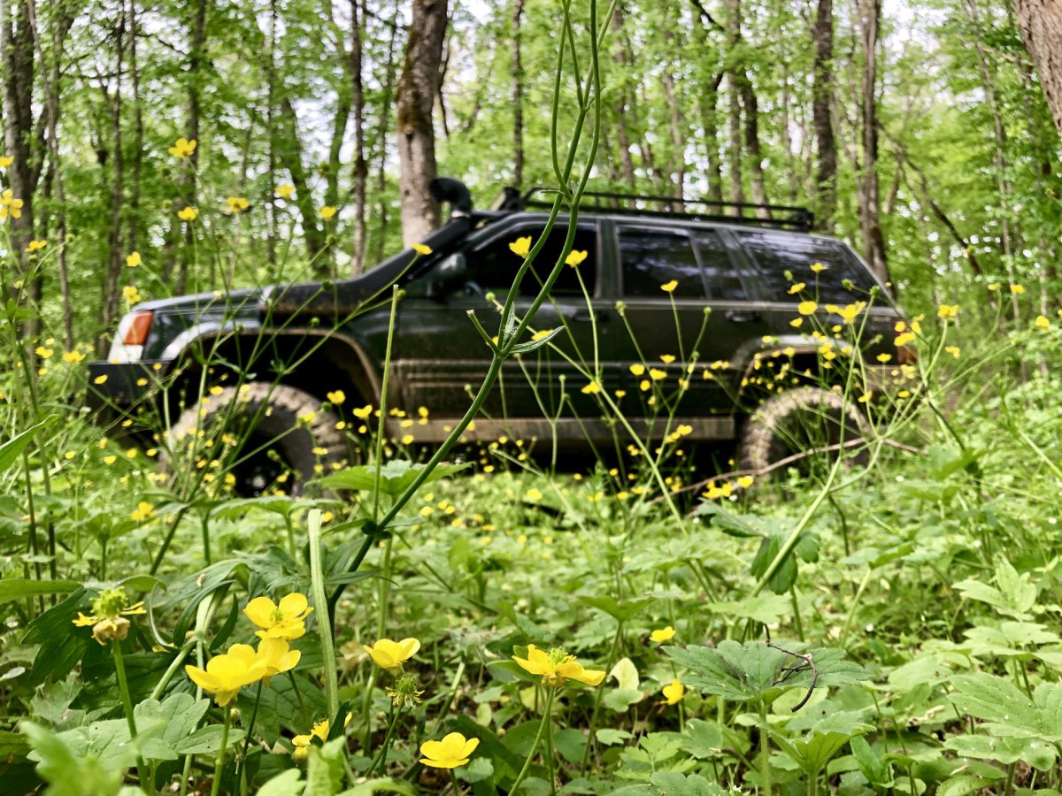 Jeep Grand Cherokee ZJ 5.2 В Сосновом лесу