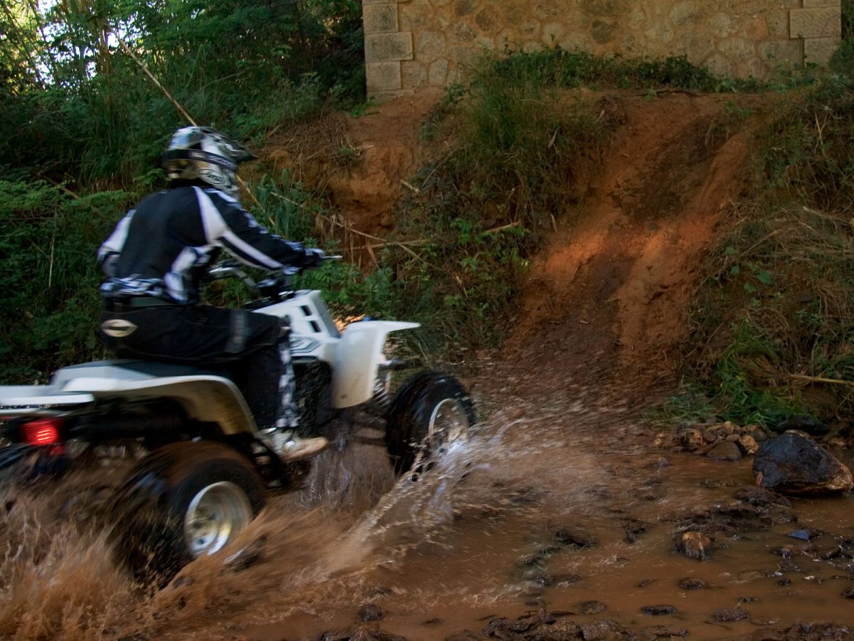 Квадроцикл Yamaha Grizzly 350