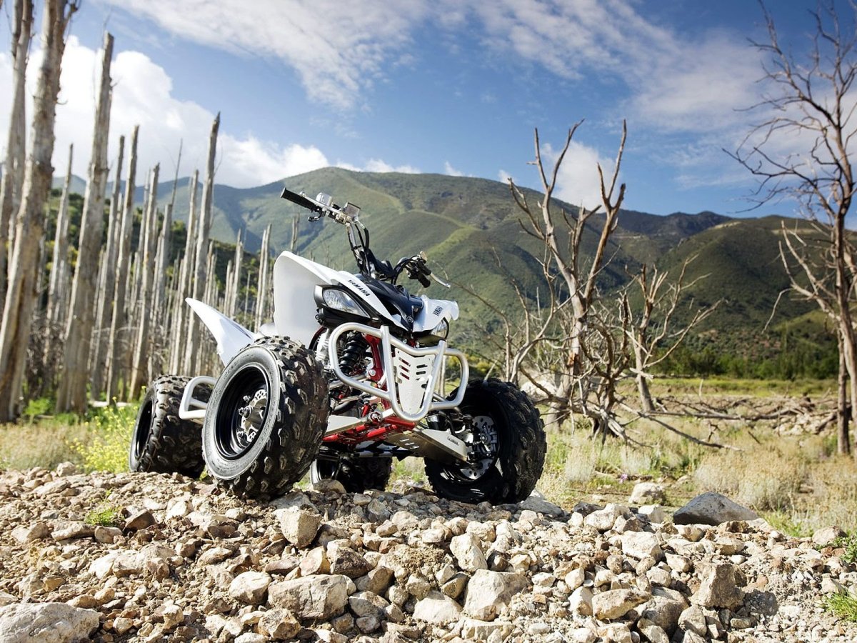 Yamaha Raptor yfm250