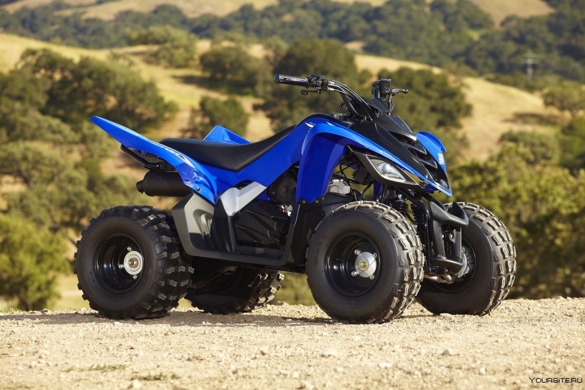 Yamaha Raptor yfm90 2011