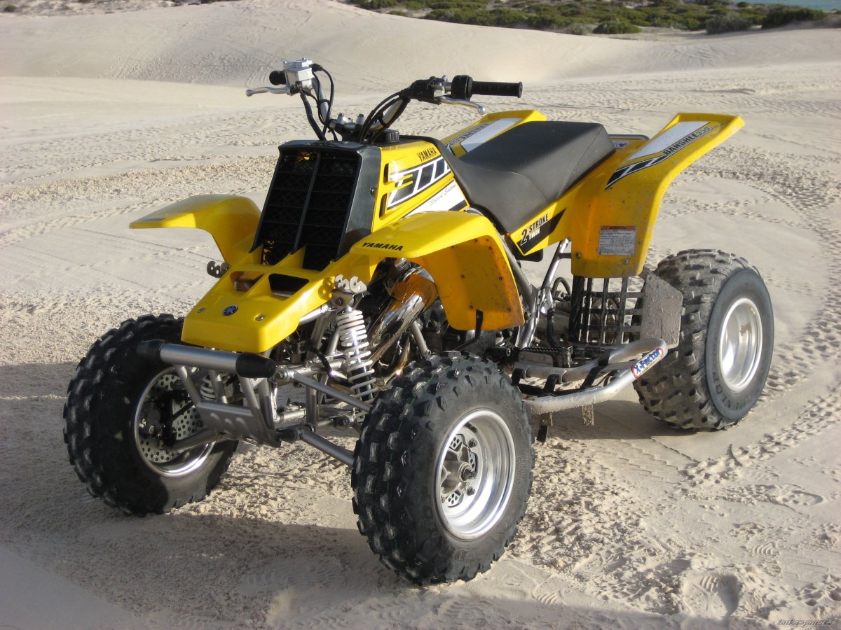 Квадроцикл Banshee 2t