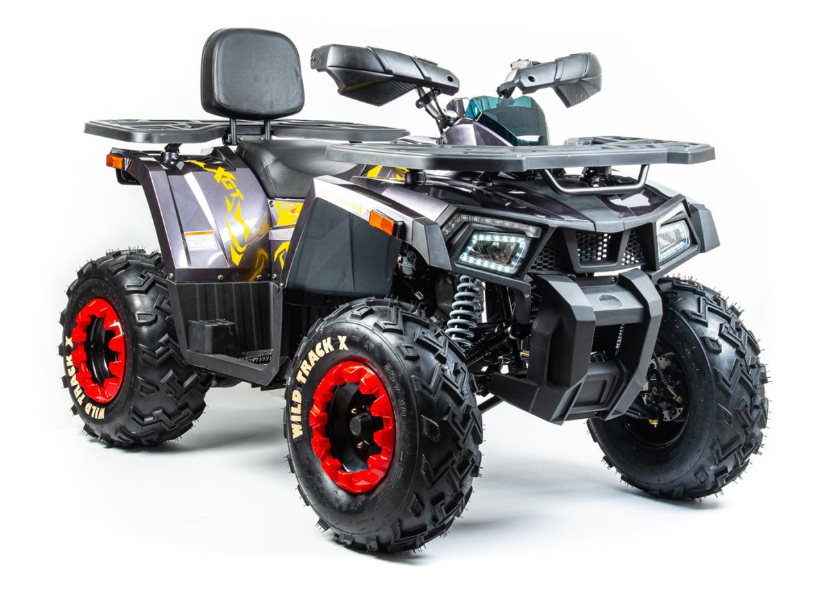 Квадроцикл Motoland Wild track 200