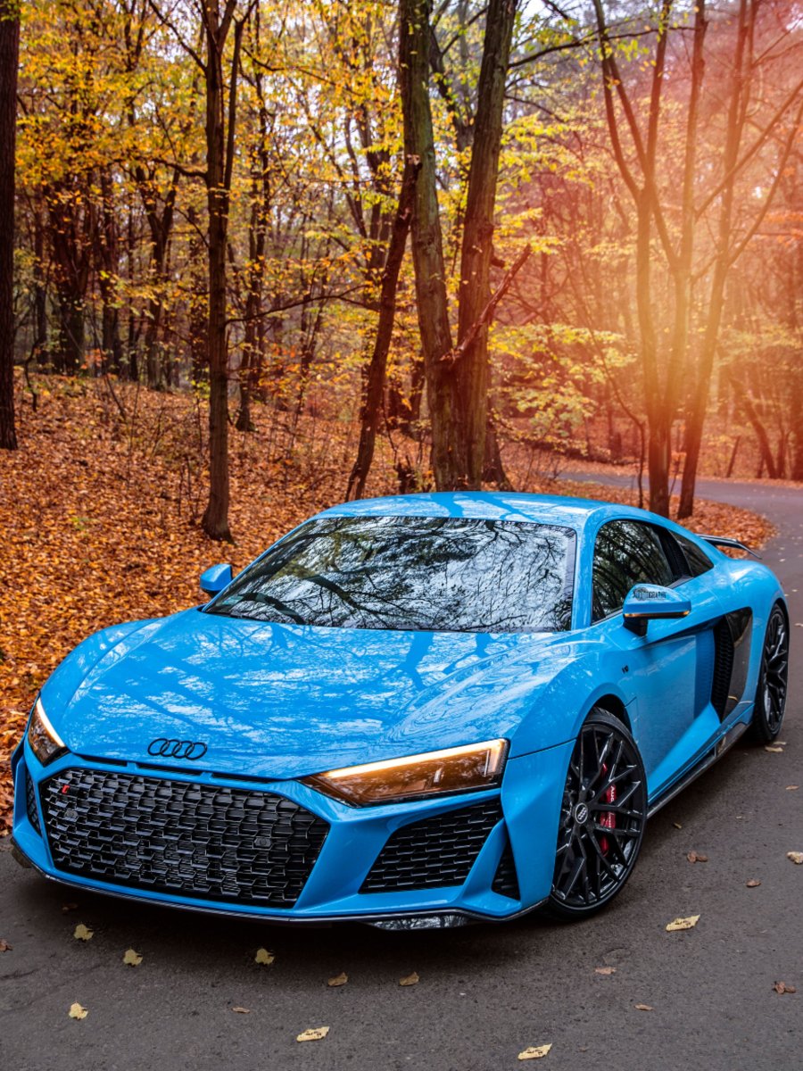 Audi r8 2018