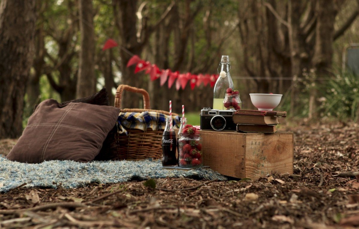 Пикник в осеннем лесу