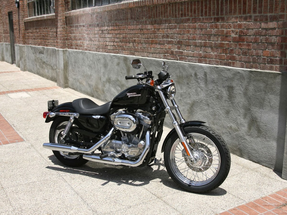 Harley Davidson XL 883 Sportster