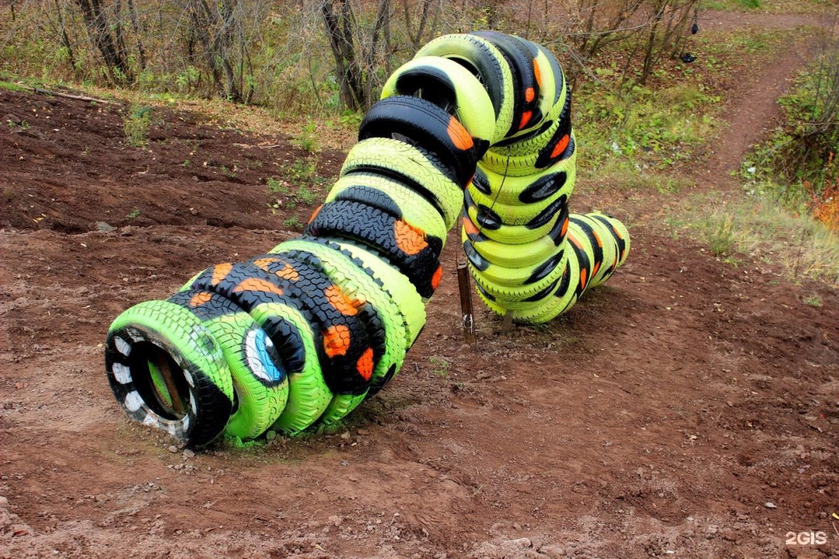 Гусеница жунёва