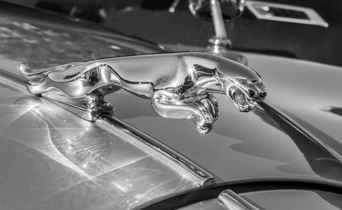 Jaguar FX капот